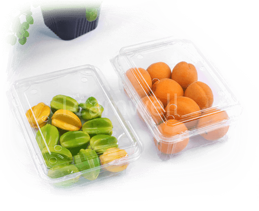 恒�T水果蔬菜塑料盒